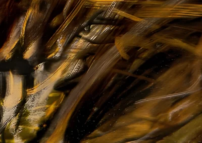 Digital Artworks