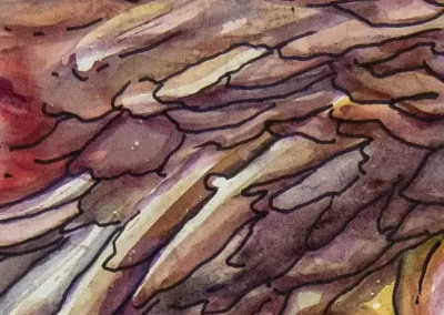 Ink & Watercolour
