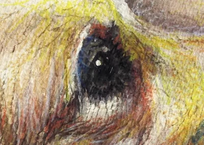 Watercolour