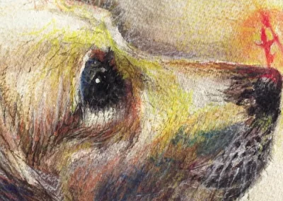 Watercolour