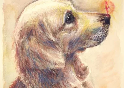 Watercolour